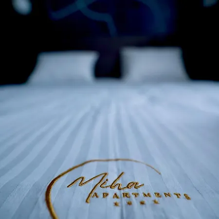 Miha Premium Apartment 贝尔格莱德 外观 照片